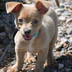 Meet your Posher, Daryl